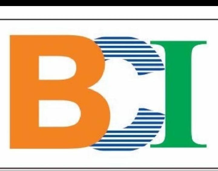 Bharat Computer Industry (BCI) Logo